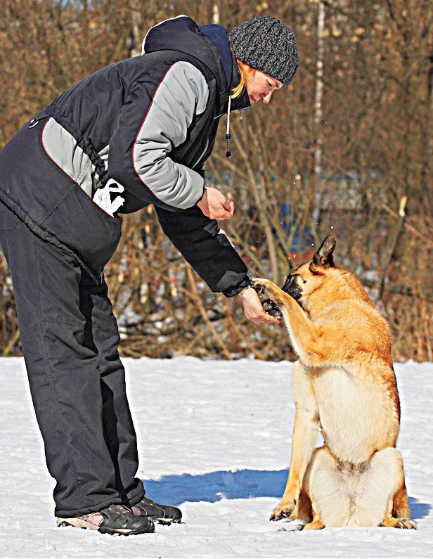 ΠΈΡΠΏΠ°Π½ΡΠΊΠΈΠΉ ΡΠ°Π³ Ρ ΡΠΎΠ±Π°ΠΊ ΠΎΠ±ΡΡΠ΅Π½ΠΈΠ΅. Π‘ΠΌΠΎΡΡΠ΅ΡΡ ΡΠΎΡΠΎ ΠΈΡΠΏΠ°Π½ΡΠΊΠΈΠΉ ΡΠ°Π³ Ρ ΡΠΎΠ±Π°ΠΊ ΠΎΠ±ΡΡΠ΅Π½ΠΈΠ΅. Π‘ΠΌΠΎΡΡΠ΅ΡΡ ΠΊΠ°ΡΡΠΈΠ½ΠΊΡ ΠΈΡΠΏΠ°Π½ΡΠΊΠΈΠΉ ΡΠ°Π³ Ρ ΡΠΎΠ±Π°ΠΊ ΠΎΠ±ΡΡΠ΅Π½ΠΈΠ΅. ΠΠ°ΡΡΠΈΠ½ΠΊΠ° ΠΏΡΠΎ ΠΈΡΠΏΠ°Π½ΡΠΊΠΈΠΉ ΡΠ°Π³ Ρ ΡΠΎΠ±Π°ΠΊ ΠΎΠ±ΡΡΠ΅Π½ΠΈΠ΅. Π€ΠΎΡΠΎ ΠΈΡΠΏΠ°Π½ΡΠΊΠΈΠΉ ΡΠ°Π³ Ρ ΡΠΎΠ±Π°ΠΊ ΠΎΠ±ΡΡΠ΅Π½ΠΈΠ΅ ΠΈΡΠΏΠ°Π½ΡΠΊΠΈΠΉ ΡΠ°Π³ Ρ ΡΠΎΠ±Π°ΠΊ ΠΎΠ±ΡΡΠ΅Π½ΠΈΠ΅. Π‘ΠΌΠΎΡΡΠ΅ΡΡ ΡΠΎΡΠΎ ΠΈΡΠΏΠ°Π½ΡΠΊΠΈΠΉ ΡΠ°Π³ Ρ ΡΠΎΠ±Π°ΠΊ ΠΎΠ±ΡΡΠ΅Π½ΠΈΠ΅. Π‘ΠΌΠΎΡΡΠ΅ΡΡ ΠΊΠ°ΡΡΠΈΠ½ΠΊΡ ΠΈΡΠΏΠ°Π½ΡΠΊΠΈΠΉ ΡΠ°Π³ Ρ ΡΠΎΠ±Π°ΠΊ ΠΎΠ±ΡΡΠ΅Π½ΠΈΠ΅. ΠΠ°ΡΡΠΈΠ½ΠΊΠ° ΠΏΡΠΎ ΠΈΡΠΏΠ°Π½ΡΠΊΠΈΠΉ ΡΠ°Π³ Ρ ΡΠΎΠ±Π°ΠΊ ΠΎΠ±ΡΡΠ΅Π½ΠΈΠ΅. Π€ΠΎΡΠΎ ΠΈΡΠΏΠ°Π½ΡΠΊΠΈΠΉ ΡΠ°Π³ Ρ ΡΠΎΠ±Π°ΠΊ ΠΎΠ±ΡΡΠ΅Π½ΠΈΠ΅