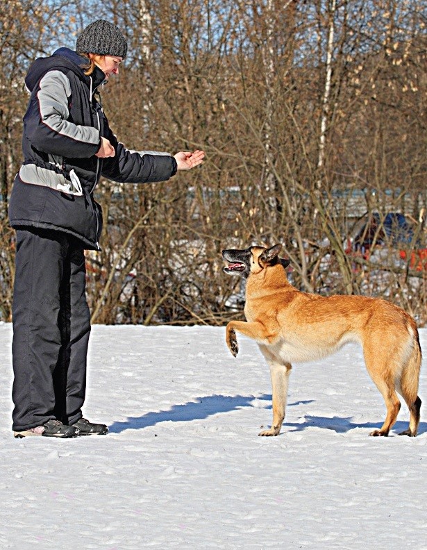 ΠΈΡΠΏΠ°Π½ΡΠΊΠΈΠΉ ΡΠ°Π³ Ρ ΡΠΎΠ±Π°ΠΊ ΠΎΠ±ΡΡΠ΅Π½ΠΈΠ΅. Π‘ΠΌΠΎΡΡΠ΅ΡΡ ΡΠΎΡΠΎ ΠΈΡΠΏΠ°Π½ΡΠΊΠΈΠΉ ΡΠ°Π³ Ρ ΡΠΎΠ±Π°ΠΊ ΠΎΠ±ΡΡΠ΅Π½ΠΈΠ΅. Π‘ΠΌΠΎΡΡΠ΅ΡΡ ΠΊΠ°ΡΡΠΈΠ½ΠΊΡ ΠΈΡΠΏΠ°Π½ΡΠΊΠΈΠΉ ΡΠ°Π³ Ρ ΡΠΎΠ±Π°ΠΊ ΠΎΠ±ΡΡΠ΅Π½ΠΈΠ΅. ΠΠ°ΡΡΠΈΠ½ΠΊΠ° ΠΏΡΠΎ ΠΈΡΠΏΠ°Π½ΡΠΊΠΈΠΉ ΡΠ°Π³ Ρ ΡΠΎΠ±Π°ΠΊ ΠΎΠ±ΡΡΠ΅Π½ΠΈΠ΅. Π€ΠΎΡΠΎ ΠΈΡΠΏΠ°Π½ΡΠΊΠΈΠΉ ΡΠ°Π³ Ρ ΡΠΎΠ±Π°ΠΊ ΠΎΠ±ΡΡΠ΅Π½ΠΈΠ΅ ΠΈΡΠΏΠ°Π½ΡΠΊΠΈΠΉ ΡΠ°Π³ Ρ ΡΠΎΠ±Π°ΠΊ ΠΎΠ±ΡΡΠ΅Π½ΠΈΠ΅. Π‘ΠΌΠΎΡΡΠ΅ΡΡ ΡΠΎΡΠΎ ΠΈΡΠΏΠ°Π½ΡΠΊΠΈΠΉ ΡΠ°Π³ Ρ ΡΠΎΠ±Π°ΠΊ ΠΎΠ±ΡΡΠ΅Π½ΠΈΠ΅. Π‘ΠΌΠΎΡΡΠ΅ΡΡ ΠΊΠ°ΡΡΠΈΠ½ΠΊΡ ΠΈΡΠΏΠ°Π½ΡΠΊΠΈΠΉ ΡΠ°Π³ Ρ ΡΠΎΠ±Π°ΠΊ ΠΎΠ±ΡΡΠ΅Π½ΠΈΠ΅. ΠΠ°ΡΡΠΈΠ½ΠΊΠ° ΠΏΡΠΎ ΠΈΡΠΏΠ°Π½ΡΠΊΠΈΠΉ ΡΠ°Π³ Ρ ΡΠΎΠ±Π°ΠΊ ΠΎΠ±ΡΡΠ΅Π½ΠΈΠ΅. Π€ΠΎΡΠΎ ΠΈΡΠΏΠ°Π½ΡΠΊΠΈΠΉ ΡΠ°Π³ Ρ ΡΠΎΠ±Π°ΠΊ ΠΎΠ±ΡΡΠ΅Π½ΠΈΠ΅