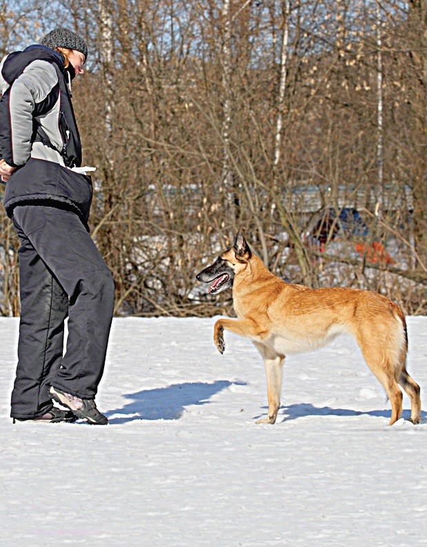 ΠΈΡΠΏΠ°Π½ΡΠΊΠΈΠΉ ΡΠ°Π³ Ρ ΡΠΎΠ±Π°ΠΊ ΠΎΠ±ΡΡΠ΅Π½ΠΈΠ΅. Π‘ΠΌΠΎΡΡΠ΅ΡΡ ΡΠΎΡΠΎ ΠΈΡΠΏΠ°Π½ΡΠΊΠΈΠΉ ΡΠ°Π³ Ρ ΡΠΎΠ±Π°ΠΊ ΠΎΠ±ΡΡΠ΅Π½ΠΈΠ΅. Π‘ΠΌΠΎΡΡΠ΅ΡΡ ΠΊΠ°ΡΡΠΈΠ½ΠΊΡ ΠΈΡΠΏΠ°Π½ΡΠΊΠΈΠΉ ΡΠ°Π³ Ρ ΡΠΎΠ±Π°ΠΊ ΠΎΠ±ΡΡΠ΅Π½ΠΈΠ΅. ΠΠ°ΡΡΠΈΠ½ΠΊΠ° ΠΏΡΠΎ ΠΈΡΠΏΠ°Π½ΡΠΊΠΈΠΉ ΡΠ°Π³ Ρ ΡΠΎΠ±Π°ΠΊ ΠΎΠ±ΡΡΠ΅Π½ΠΈΠ΅. Π€ΠΎΡΠΎ ΠΈΡΠΏΠ°Π½ΡΠΊΠΈΠΉ ΡΠ°Π³ Ρ ΡΠΎΠ±Π°ΠΊ ΠΎΠ±ΡΡΠ΅Π½ΠΈΠ΅ ΠΈΡΠΏΠ°Π½ΡΠΊΠΈΠΉ ΡΠ°Π³ Ρ ΡΠΎΠ±Π°ΠΊ ΠΎΠ±ΡΡΠ΅Π½ΠΈΠ΅. Π‘ΠΌΠΎΡΡΠ΅ΡΡ ΡΠΎΡΠΎ ΠΈΡΠΏΠ°Π½ΡΠΊΠΈΠΉ ΡΠ°Π³ Ρ ΡΠΎΠ±Π°ΠΊ ΠΎΠ±ΡΡΠ΅Π½ΠΈΠ΅. Π‘ΠΌΠΎΡΡΠ΅ΡΡ ΠΊΠ°ΡΡΠΈΠ½ΠΊΡ ΠΈΡΠΏΠ°Π½ΡΠΊΠΈΠΉ ΡΠ°Π³ Ρ ΡΠΎΠ±Π°ΠΊ ΠΎΠ±ΡΡΠ΅Π½ΠΈΠ΅. ΠΠ°ΡΡΠΈΠ½ΠΊΠ° ΠΏΡΠΎ ΠΈΡΠΏΠ°Π½ΡΠΊΠΈΠΉ ΡΠ°Π³ Ρ ΡΠΎΠ±Π°ΠΊ ΠΎΠ±ΡΡΠ΅Π½ΠΈΠ΅. Π€ΠΎΡΠΎ ΠΈΡΠΏΠ°Π½ΡΠΊΠΈΠΉ ΡΠ°Π³ Ρ ΡΠΎΠ±Π°ΠΊ ΠΎΠ±ΡΡΠ΅Π½ΠΈΠ΅