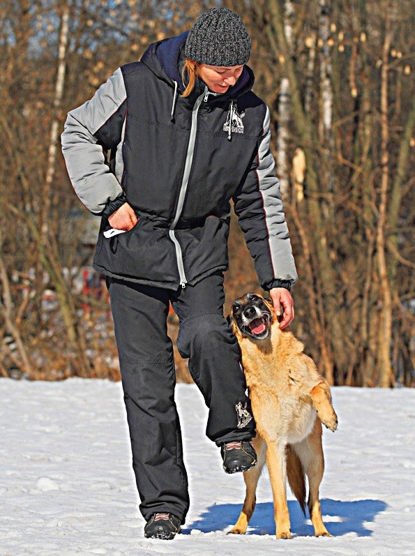 ΠΈΡΠΏΠ°Π½ΡΠΊΠΈΠΉ ΡΠ°Π³ Ρ ΡΠΎΠ±Π°ΠΊ ΠΎΠ±ΡΡΠ΅Π½ΠΈΠ΅. Π‘ΠΌΠΎΡΡΠ΅ΡΡ ΡΠΎΡΠΎ ΠΈΡΠΏΠ°Π½ΡΠΊΠΈΠΉ ΡΠ°Π³ Ρ ΡΠΎΠ±Π°ΠΊ ΠΎΠ±ΡΡΠ΅Π½ΠΈΠ΅. Π‘ΠΌΠΎΡΡΠ΅ΡΡ ΠΊΠ°ΡΡΠΈΠ½ΠΊΡ ΠΈΡΠΏΠ°Π½ΡΠΊΠΈΠΉ ΡΠ°Π³ Ρ ΡΠΎΠ±Π°ΠΊ ΠΎΠ±ΡΡΠ΅Π½ΠΈΠ΅. ΠΠ°ΡΡΠΈΠ½ΠΊΠ° ΠΏΡΠΎ ΠΈΡΠΏΠ°Π½ΡΠΊΠΈΠΉ ΡΠ°Π³ Ρ ΡΠΎΠ±Π°ΠΊ ΠΎΠ±ΡΡΠ΅Π½ΠΈΠ΅. Π€ΠΎΡΠΎ ΠΈΡΠΏΠ°Π½ΡΠΊΠΈΠΉ ΡΠ°Π³ Ρ ΡΠΎΠ±Π°ΠΊ ΠΎΠ±ΡΡΠ΅Π½ΠΈΠ΅ ΠΈΡΠΏΠ°Π½ΡΠΊΠΈΠΉ ΡΠ°Π³ Ρ ΡΠΎΠ±Π°ΠΊ ΠΎΠ±ΡΡΠ΅Π½ΠΈΠ΅. Π‘ΠΌΠΎΡΡΠ΅ΡΡ ΡΠΎΡΠΎ ΠΈΡΠΏΠ°Π½ΡΠΊΠΈΠΉ ΡΠ°Π³ Ρ ΡΠΎΠ±Π°ΠΊ ΠΎΠ±ΡΡΠ΅Π½ΠΈΠ΅. Π‘ΠΌΠΎΡΡΠ΅ΡΡ ΠΊΠ°ΡΡΠΈΠ½ΠΊΡ ΠΈΡΠΏΠ°Π½ΡΠΊΠΈΠΉ ΡΠ°Π³ Ρ ΡΠΎΠ±Π°ΠΊ ΠΎΠ±ΡΡΠ΅Π½ΠΈΠ΅. ΠΠ°ΡΡΠΈΠ½ΠΊΠ° ΠΏΡΠΎ ΠΈΡΠΏΠ°Π½ΡΠΊΠΈΠΉ ΡΠ°Π³ Ρ ΡΠΎΠ±Π°ΠΊ ΠΎΠ±ΡΡΠ΅Π½ΠΈΠ΅. Π€ΠΎΡΠΎ ΠΈΡΠΏΠ°Π½ΡΠΊΠΈΠΉ ΡΠ°Π³ Ρ ΡΠΎΠ±Π°ΠΊ ΠΎΠ±ΡΡΠ΅Π½ΠΈΠ΅