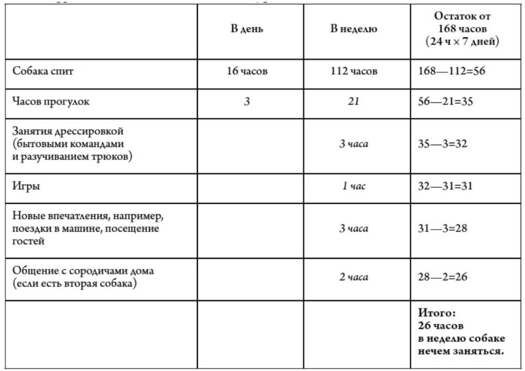 Сколько нужно гулять с собакой в день. Лабрадор на прогулке. Сколько гулять с собакой. Сколько гулять с собакой утром. Часы прогулки с собакой.